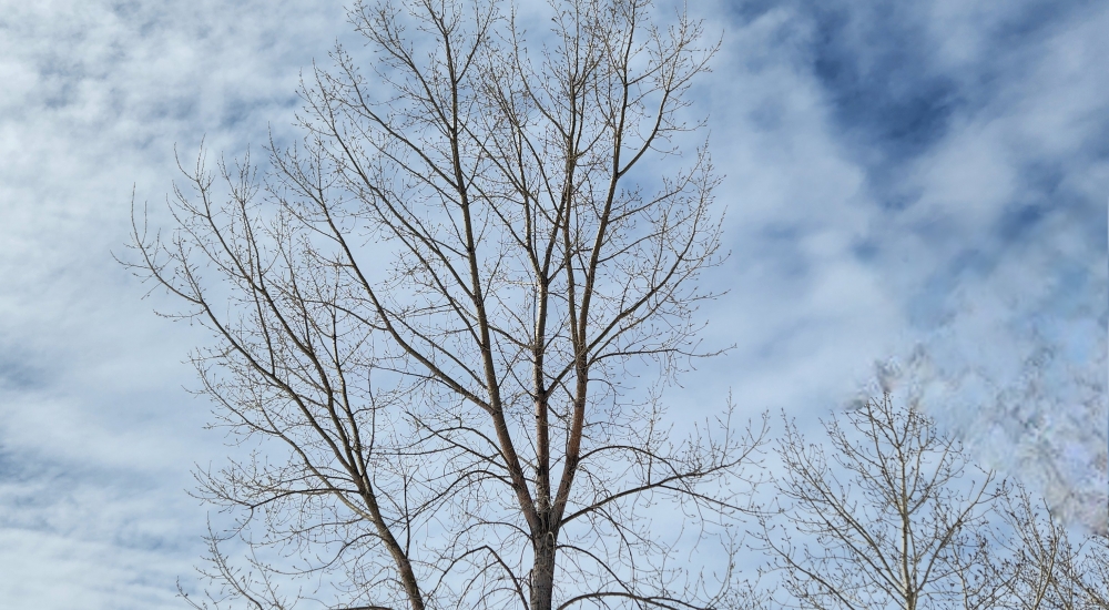 Our Spiritual Heritage