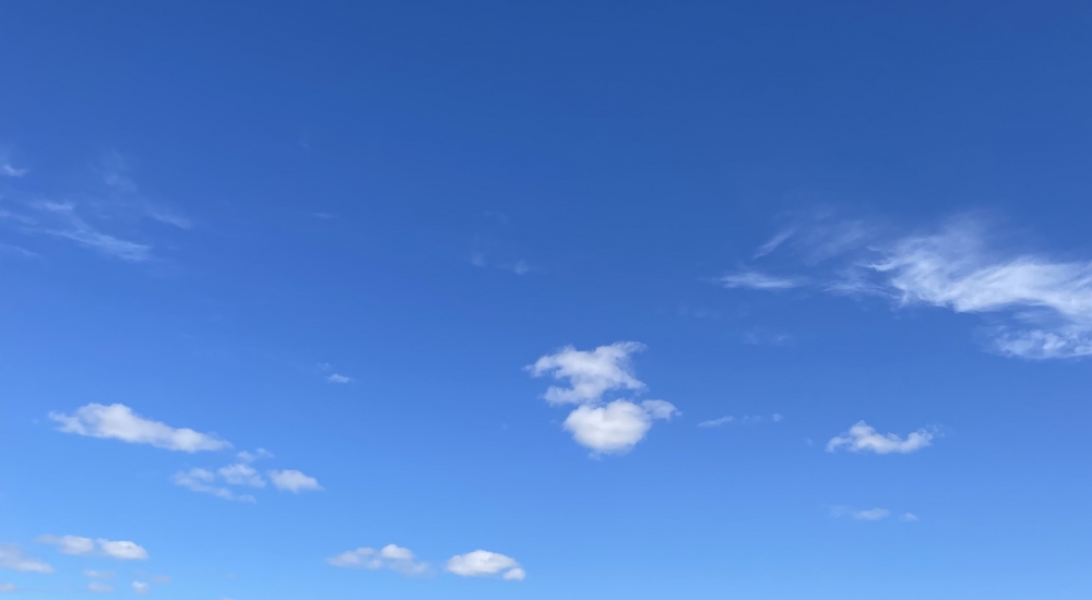 Transparent leadership