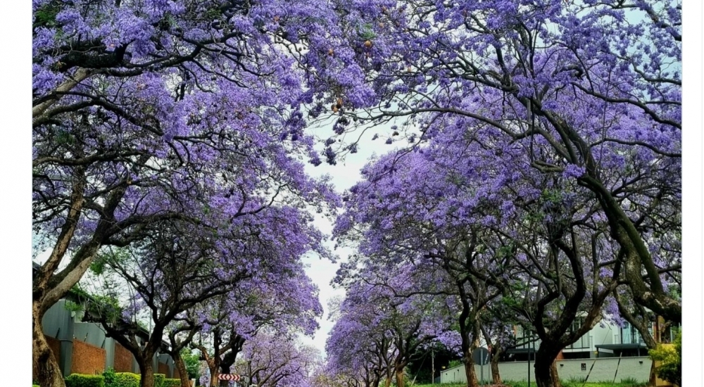 The letter to the Churches ⛪️ - part 2